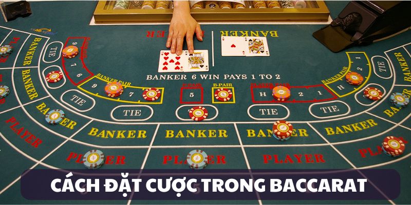 Các cửa cược trong game