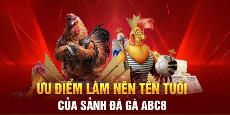 Nhiều lý do nên chọn chơi đá gà tại ABC8
